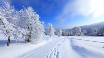 Winter Wallpaper HD