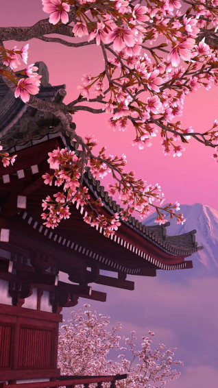 Sakura Pc Wallpaper