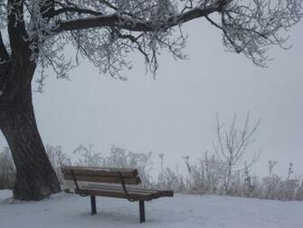 High Resolution Frosty Winter Wonderland Desktop Laptop Wallpaper