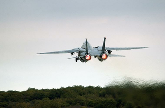 Tomcat Jolly Rogers Image Crazy Gallery
