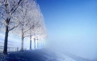 Scenery Winter Background HD Desktop Wallpaper 4k