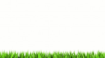 White Color Wallpaper