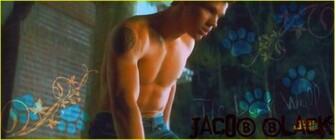 Taylor Lautner Shirtless Graphics Code