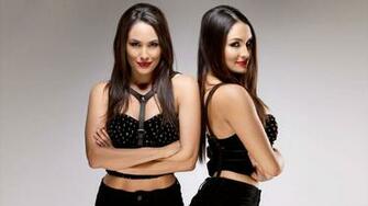 Divas Of Instagram Nikki Bella Wwe Jpg