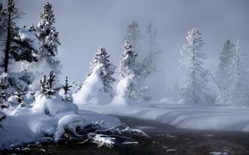 Stunning Winter Wallpaper