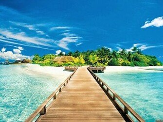 Nature Summer Beach Wallpaper
