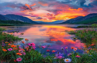 Bing Daily Wallpaper And Screensavers