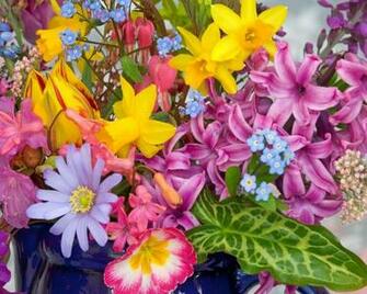 HD Wallpaper High Definition Quality Desktop