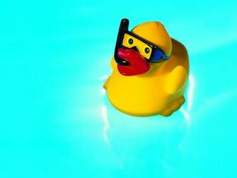 Rubber Ducky Wallpaper