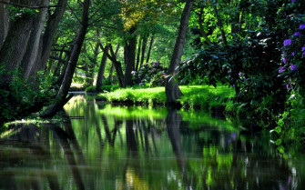 Spring River Wallpaper