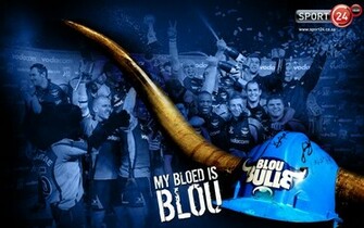 Blue Bulls Wallpaper
