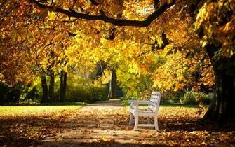Autumn Screensavers Background Static Media Tree Eweb4 Tapety