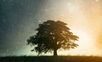 Best Places To Find iPhone And iPad Wallpaper Okay Geek