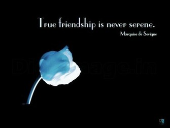 True Friendship Is Never Serene Best Friends Wallpaper And Scraps