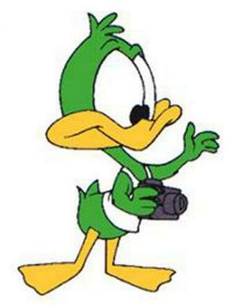 Walt Disney Baby Plucky Duck Animal Characters Wallpaper