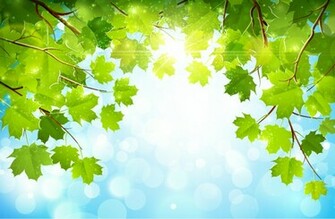 Sunshine Parasol Tree Background Vector Graphic