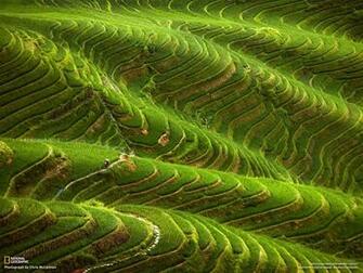 National Geographic HD Wallpaper Web Design
