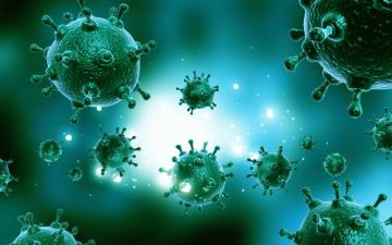 Microbes Wallpaper Top Background