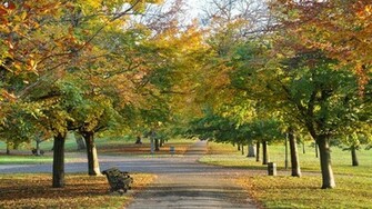 Autumn Wallpaper Nature