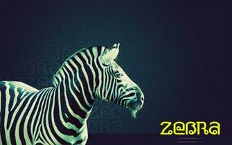 Blue Zebra Hearts Background Image Pictures Becuo