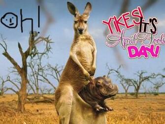 April Fool Wallpaper For Laptop Mobile