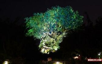 Tree Of Life Desktop Wallpaper