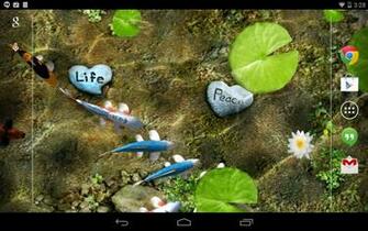 Koi Live Wallpaper V1 Full Apk