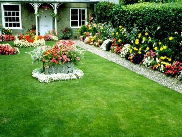 Flower Garden Background Image HD Iae News Site