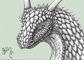 Dragon Head Drawings Wallpaper Background HD With Resolutions