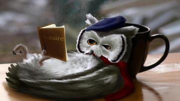 Reading Owl Wallpaper Book Art Wall