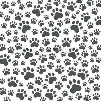 Cat Paw Print Background Or Dog Paws