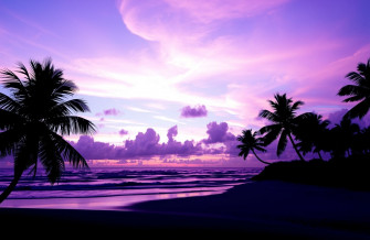 Purple Beach Wallpaper