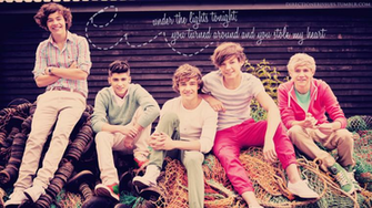 One Direction Lirik Lagu Stole My Heart