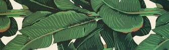 Displaying Image For Banana Leaf Wallpaper Bathroom