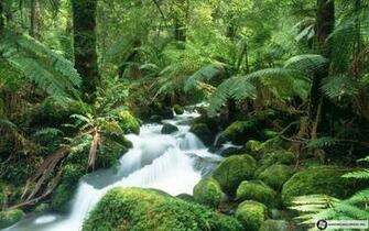 Beautiful High Quality Nature Wallpaper For Windows Ntt Cc