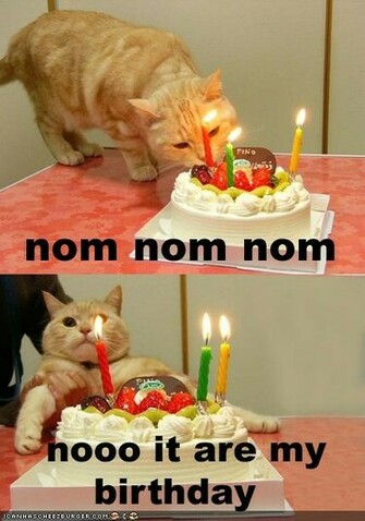 Happy BirtHDay Funny Picture Best HD