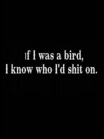 Kristyn Clark Mccain On Funny Stuff Sarcastic Quotes