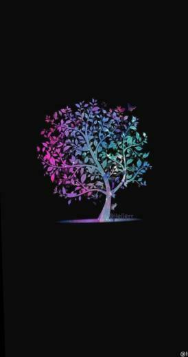 Nat Lia Paz On Mokona Black Wallpaper Colorful