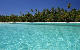 Crystal Clear Tropic Wallpaper Beach