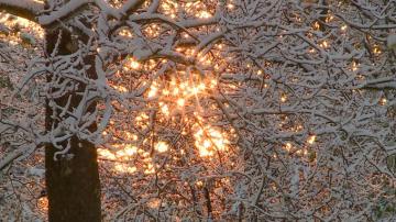 Snow Next Weekend Why You Should Never Fall For Clickbait