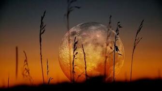 Supermoon Archives Angelina Kalahari