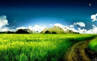 Beautiful Windows Phone Wallpaper