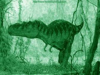 Meu Papel De Parede Gr Tis Fantasia Dinossauro
