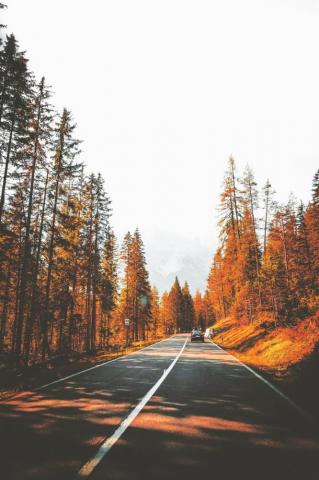 Driving On The Beautiful Roads Of South Tyrol iPhone Wallpaper