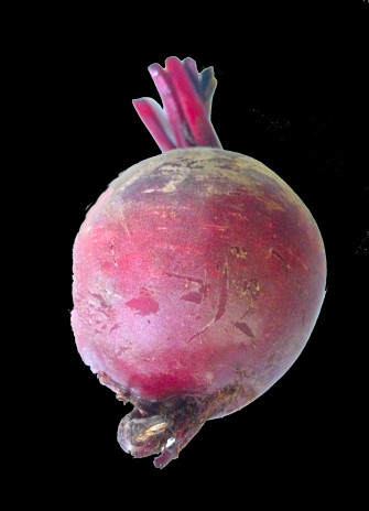 Beetroot Wallpaper