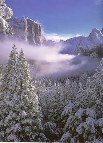 Winter Scene Wallpaper Background Snow Jpg