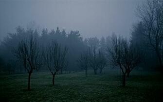 Fog Amp Gloom Oftu