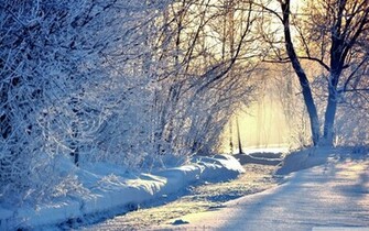 HD Desktop Wallpaper Widescreen For In High Quality