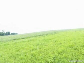 Wallpaper Of Vast Country Field Blue Sky White Cloud