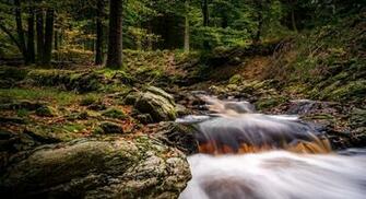Forest Autumn Rocks Background Image Samsung Belgium